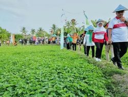 7 Jenis Sayuran dengan Produksi Terbanyak di Kecamatan Balikpapan Utara